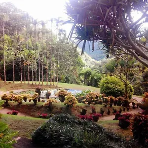 La Petite Charmeuse Hébergement de vacances